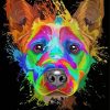 Dog Face Splatter Diamond Paintings