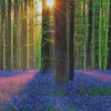 Forest With Bluebells Diamond Painting