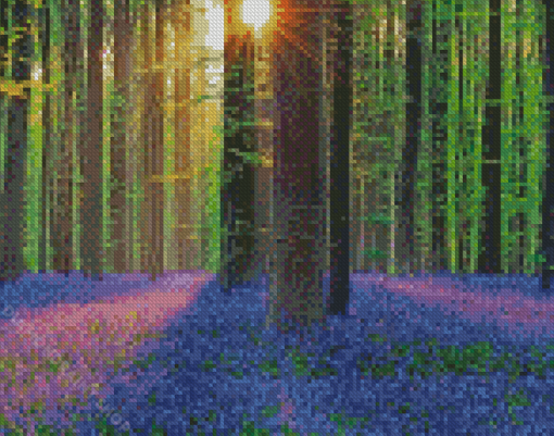 Forest With Bluebells Diamond Painting