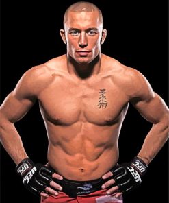 Georges St Pierre Diamond Paintings