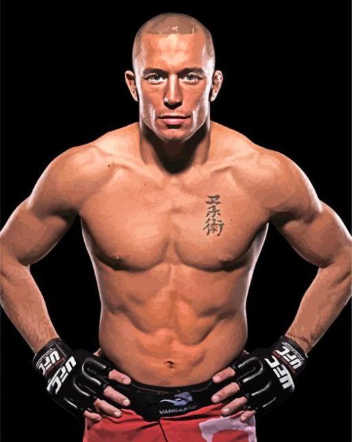 Georges St Pierre Diamond Paintings