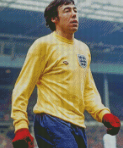 Gordon Banks England Diamond Paintings