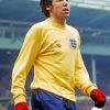 Gordon Banks England Diamond Paintings