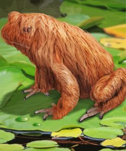 Hairy Frog Diamond Paintings