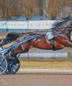 Harness Racing Diamond Paintings