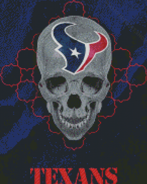 Houston Texans Skull Diamond Paintings