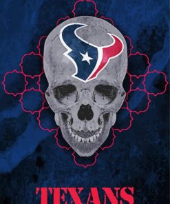 Houston Texans Skull Diamond Paintings