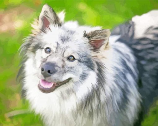 Keeshond Dog Animal Diamond Paintings