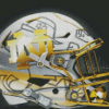 Notre Dame Helmet Diamond Paintings