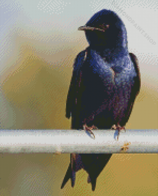 Purple Martin Diamond Paintings