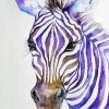 Purple Zebra Head Diamond Paintings