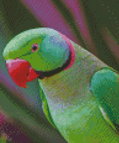 Ringneck Parrot Diamond Paintings