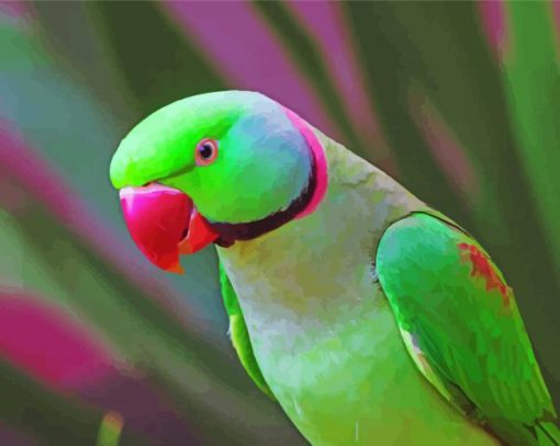 Ringneck Parrot Diamond Paintings