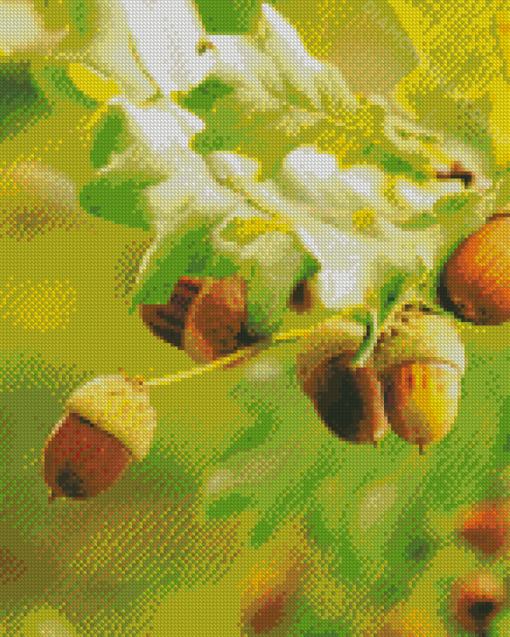 The Acorn Diamond Paintings