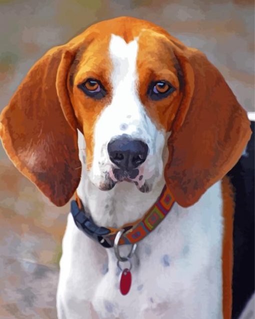 Treeing Walker Coonhound Diamond Paintings