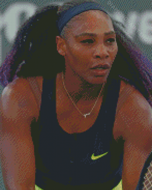 Venus Williams Diamond Paintings