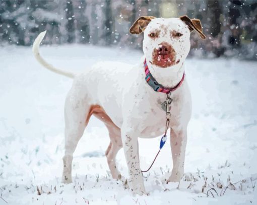 White Staffy Dog In Snow Diamond Paintings