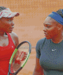 Williams Sisters Diamond Paintings