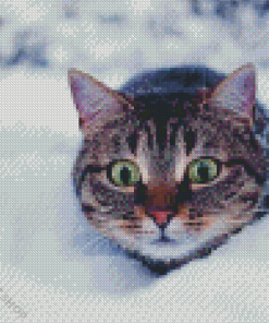 Winter Cat Diamond Paintings