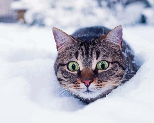 Winter Cat Diamond Paintings