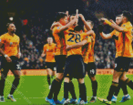 Wwfc Team Diamond Paintings