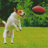 Aesthetic Dog Football Diamond Paintings