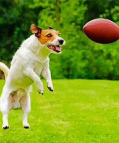 Aesthetic Dog Football Diamond Paintings