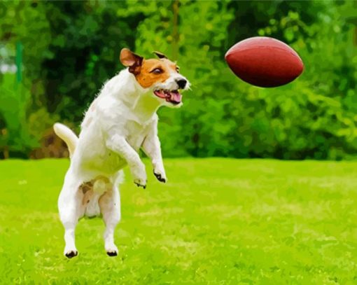 Aesthetic Dog Football Diamond Paintings