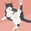 Aesthetic Funny Cat Diamond Paintings