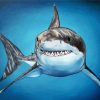 Aesthetic Great White Shark Diamond Paintings