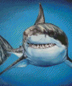 Aesthetic Great White Shark Diamond Paintings