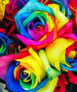 Aesthetic Rainbow Roses Art Diamond Paintings