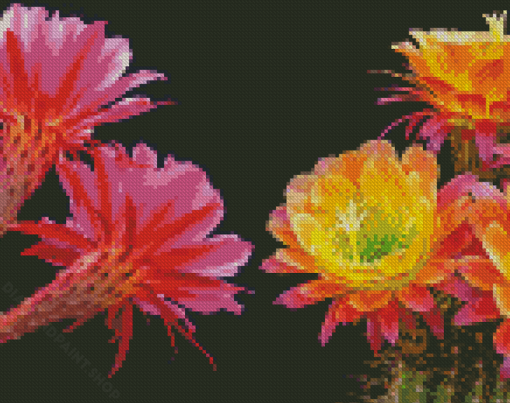 Aesthetic Pink And Yellow Flowers On Cactuses Diamond Paintings