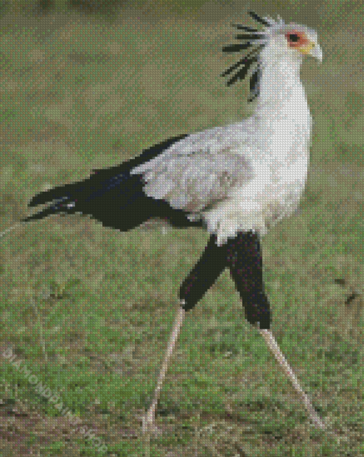 Aesthetic The Secretarybird Diamond Paintings