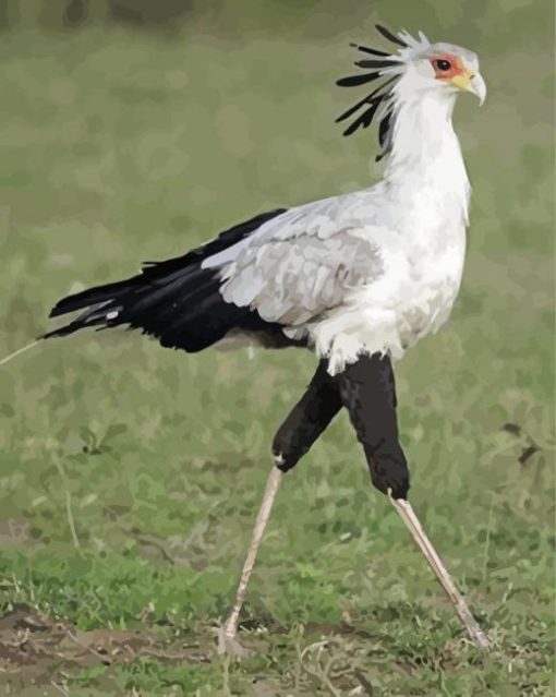 Aesthetic The Secretarybird Diamond Paintings