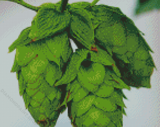 Beautiful Hop Plant Diamond Paintings