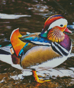 Beautiful Mandarin Duck Diamond Paintings