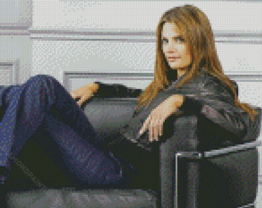 Beautiful Stana Katic Diamond Paintings