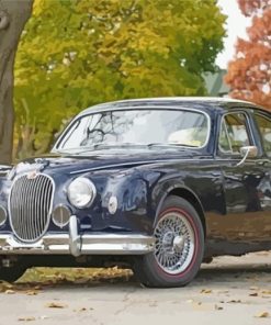 Black Jaguar Mark 1 Diamond Paintings