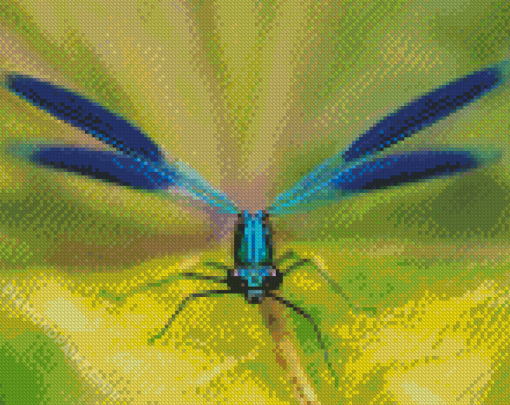 Blue Damsel Fly Diamond Paintings