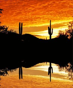 Cactus Sunset Reflection Diamond Paintings