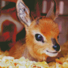 Cute Steenbok Diamond Paintings