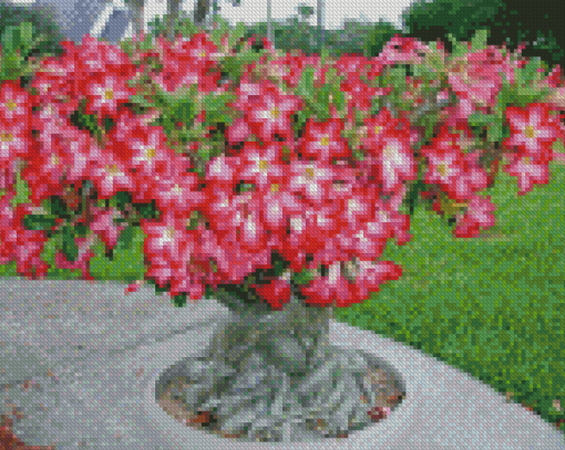 Desert Rose Garden Diamond Paintings