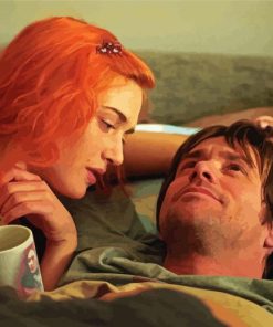 Eternal Sunshine Of The Spotless Mind Film Diamond Paintings