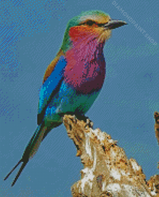 Lilac Breasted Roller Bird Diamond Paintings