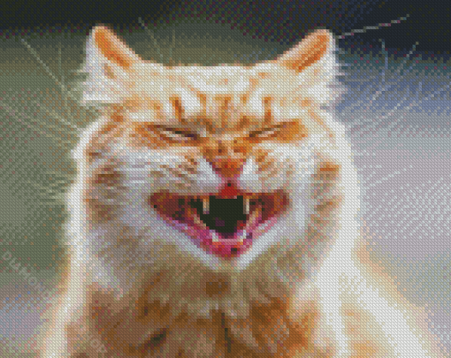 Smiling Cat Diamond Paintings