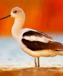 American Avocet Bird Diamond Paintings