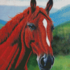 Brown Horse Head Diamond Paintings