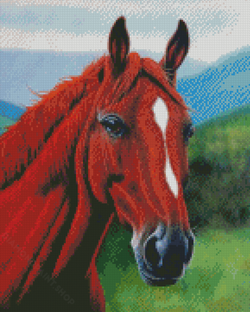 Brown Horse Head Diamond Paintings