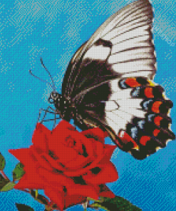 Butterfly On Red Rose Diamond Paintings